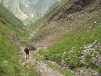 Youri - Ecrins 2005 306 